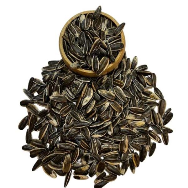 Ay Çekideği (siyah)